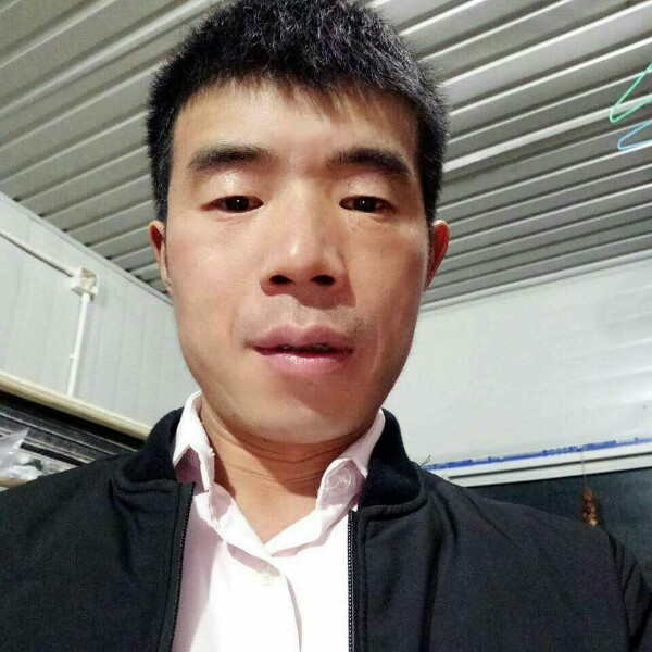 玩命的烈马的照片