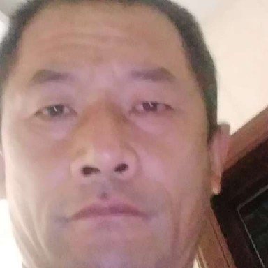 金毛畅快田园生活的照片