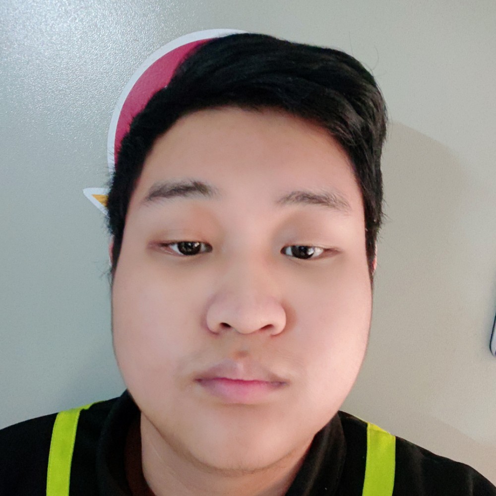 羽毛方淡定的照片