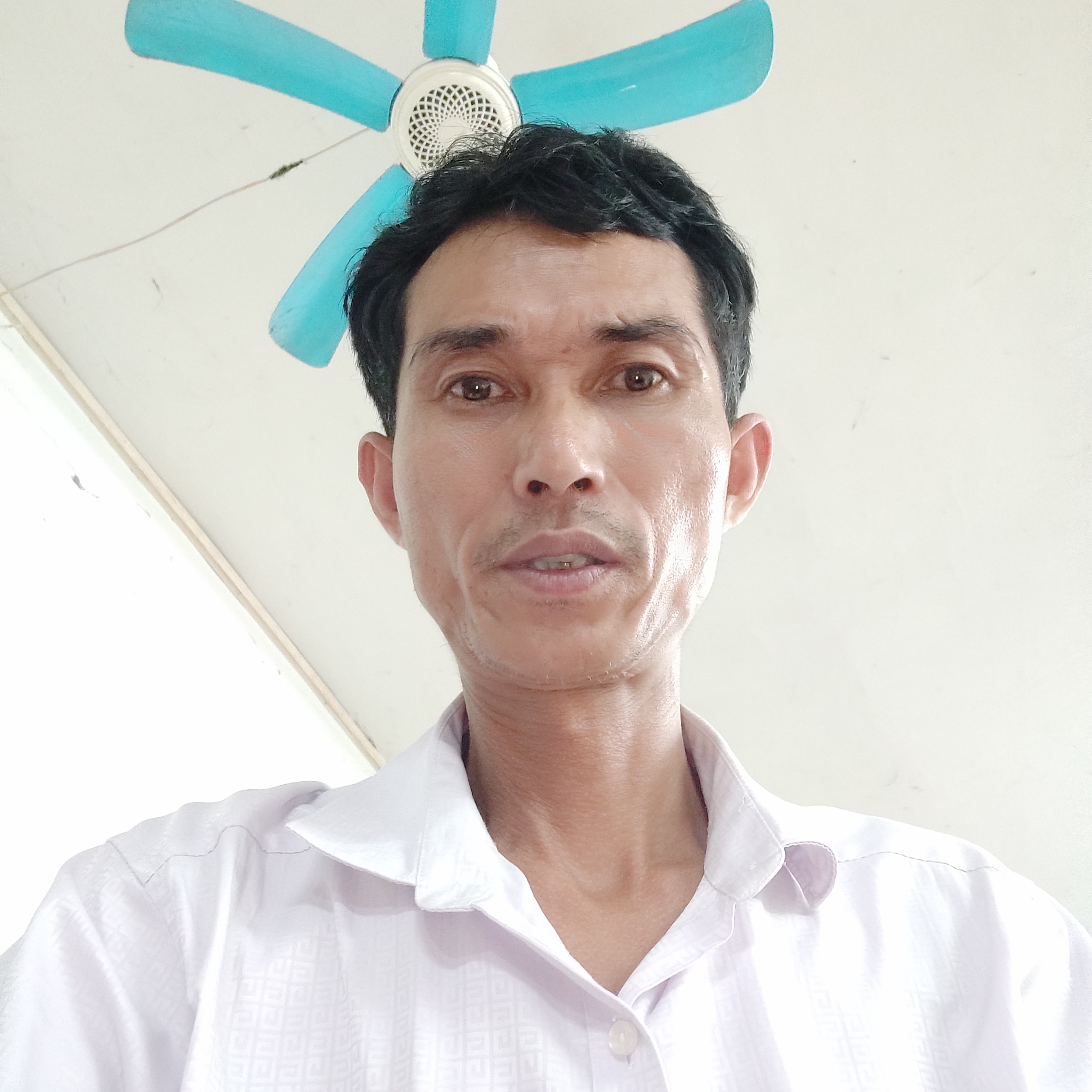 威武演变小懒猪的照片