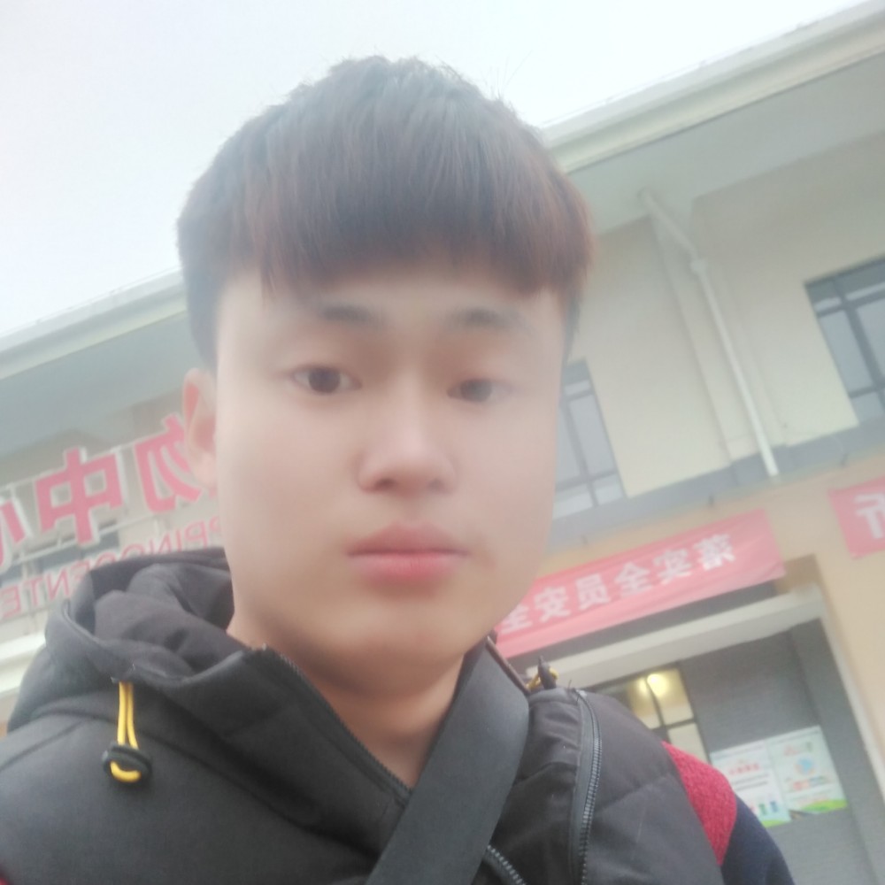 枕头机灵的照片
