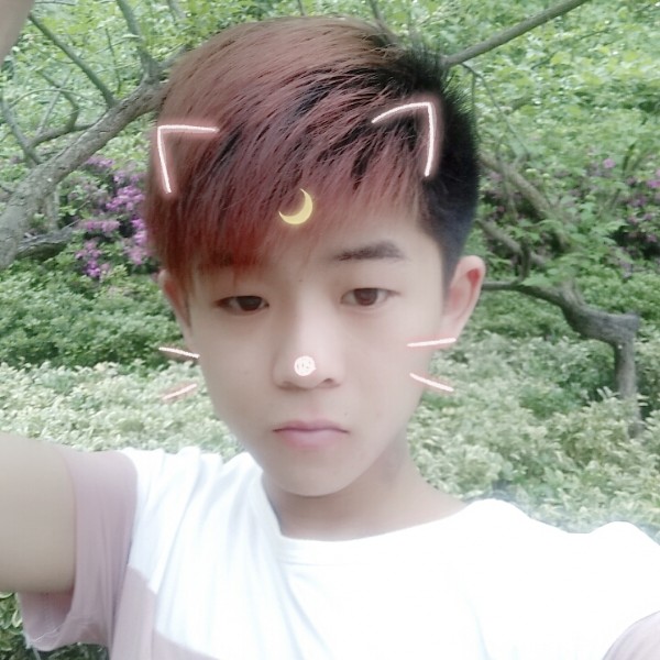 忧虑锦瑟的照片