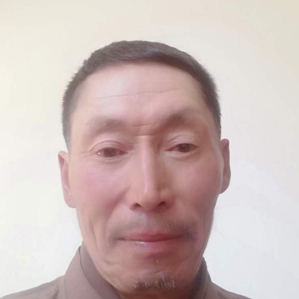 大雁耍酷的照片
