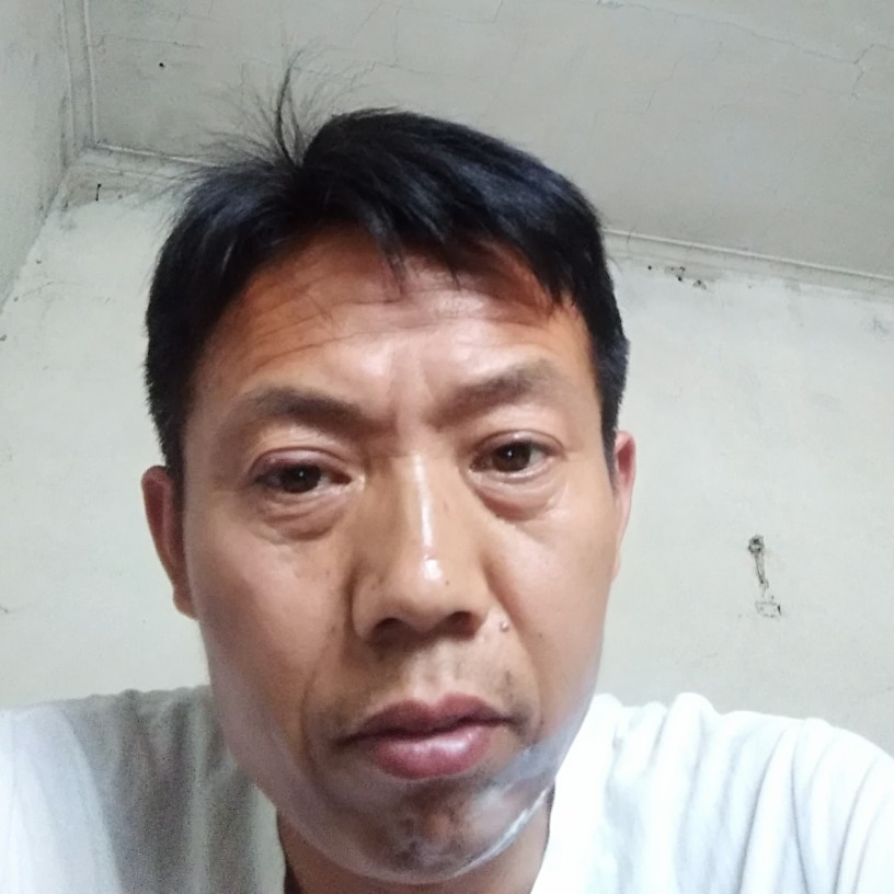 鹅形非想的照片