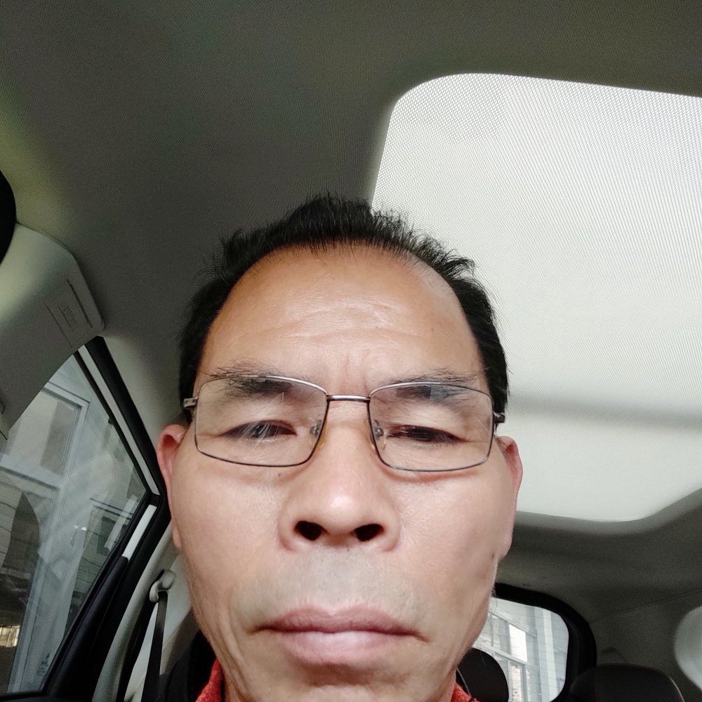 手套漫步典雅的照片