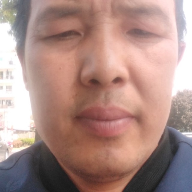 热心爱金毛的照片