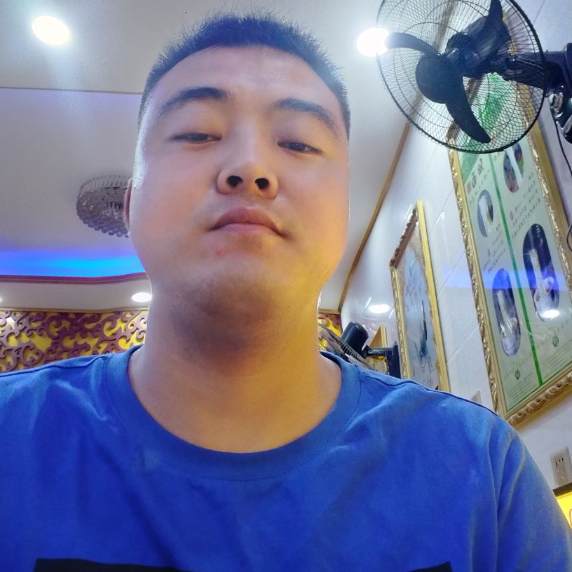 野狼有怕黑的照片