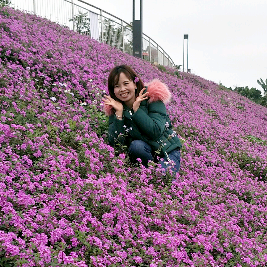 半夏繁荣的照片