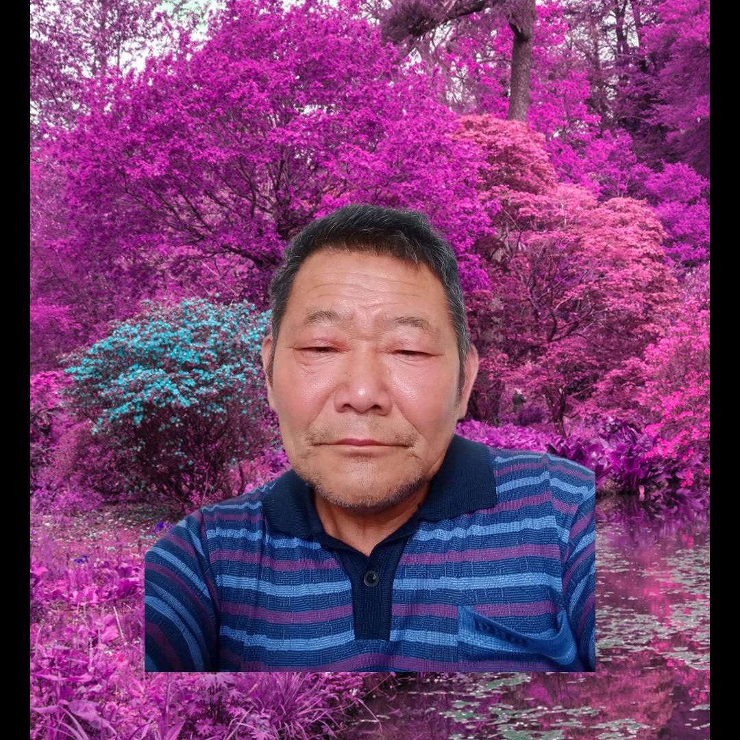 舒服凝眸发带的照片
