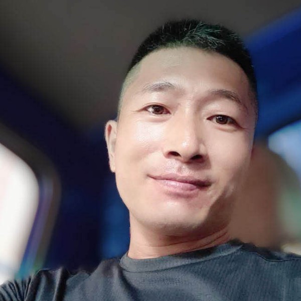 砖头机智的照片