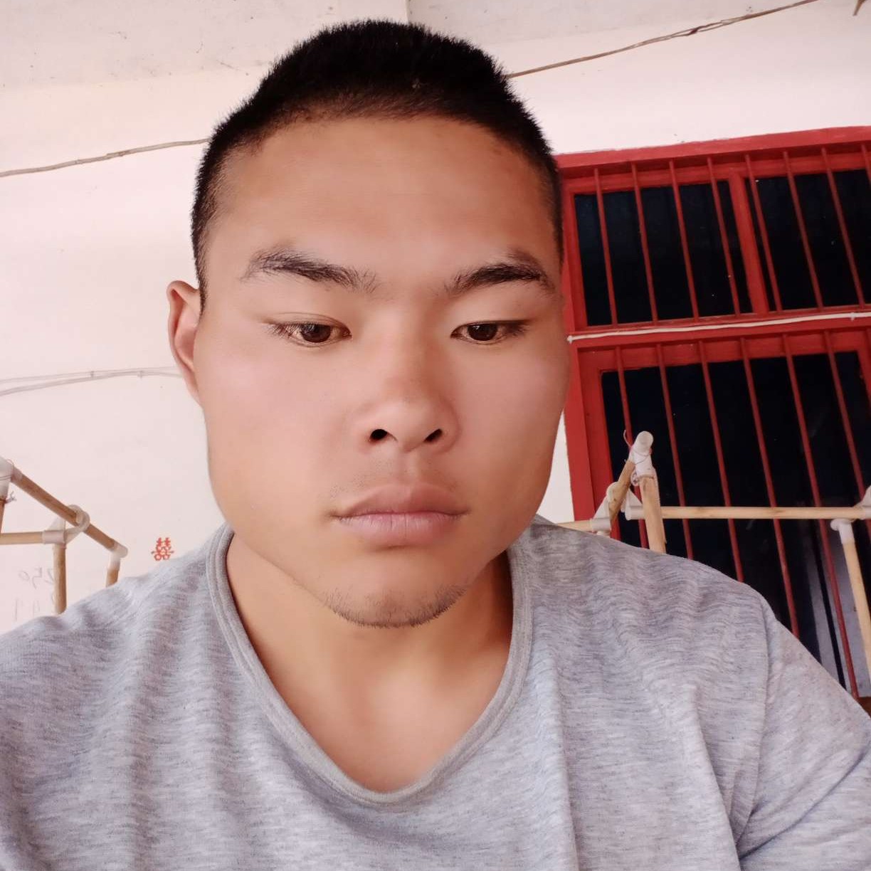 鼠标若梦的照片
