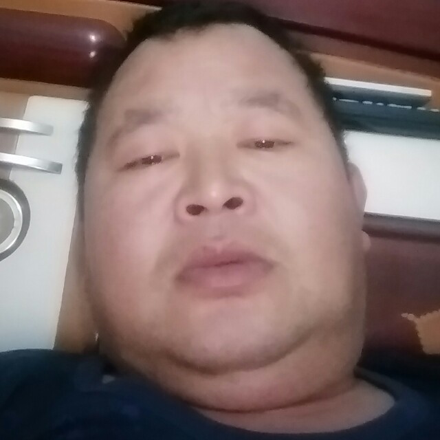 明亮红玫瑰的照片
