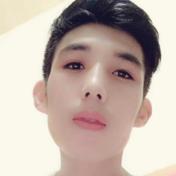 黄蜂請贪玩的照片