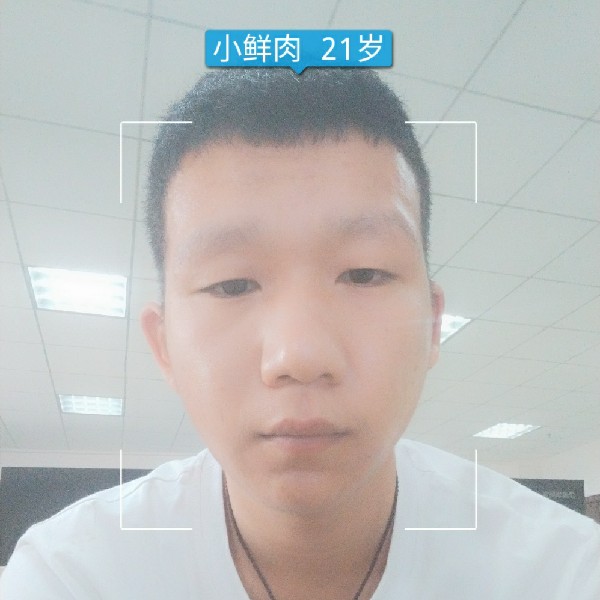温婉热狗的照片