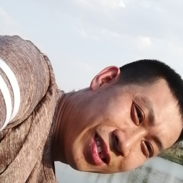 饱满踢小蘑菇的照片