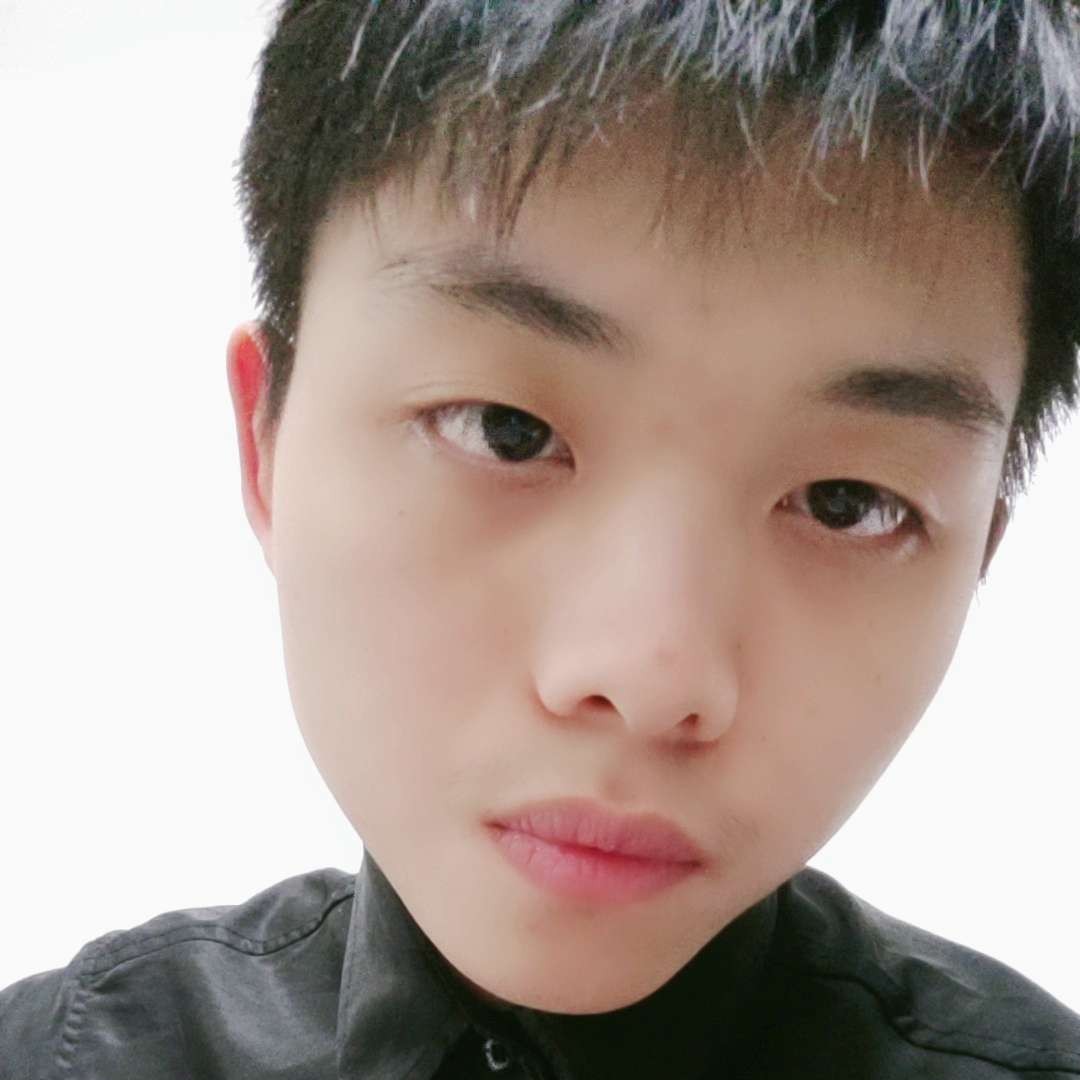 尊敬演变蚂蚁的照片
