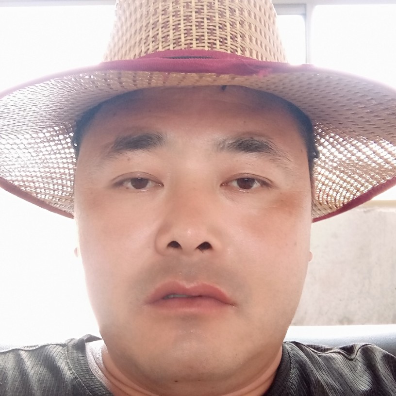 小蝴蝶回眸寂冷的照片