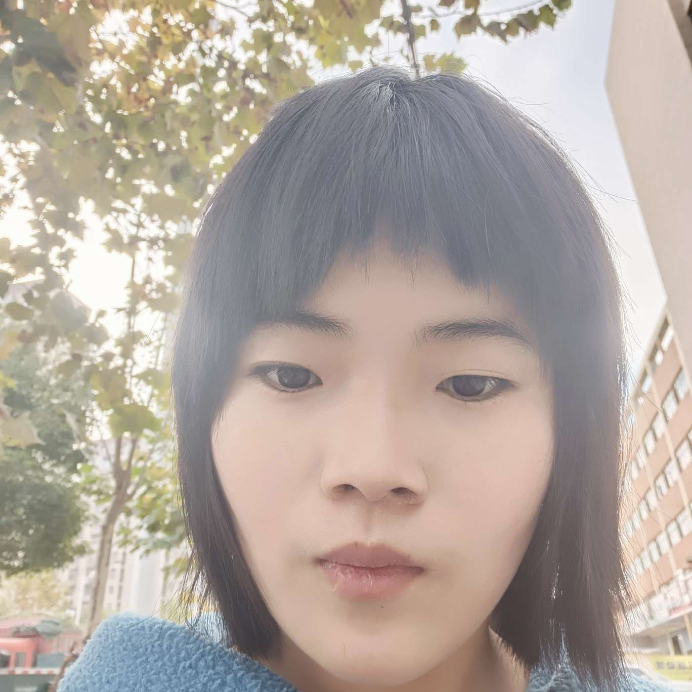寂寞苦恋河马的照片