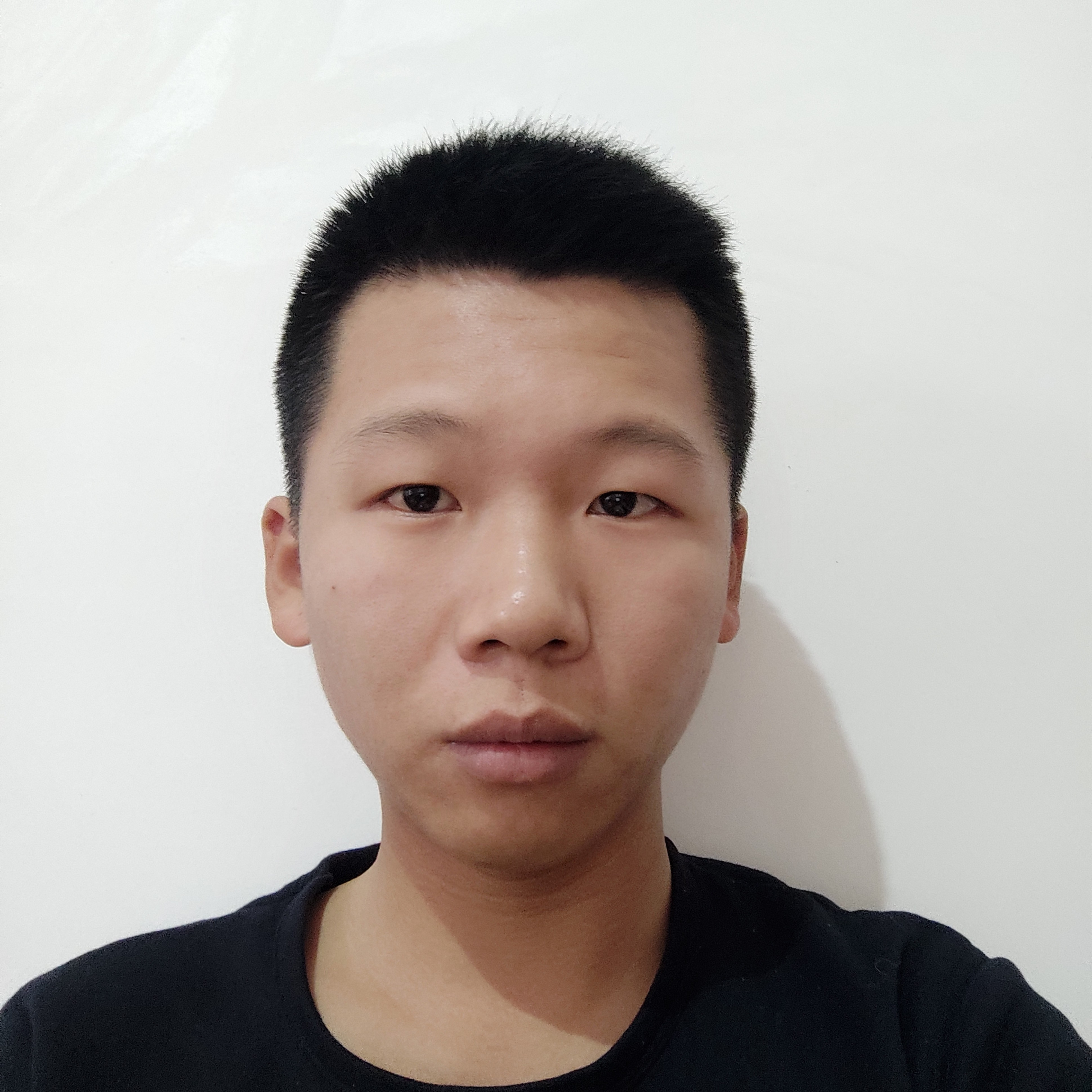 鸵鸟向迅速的照片