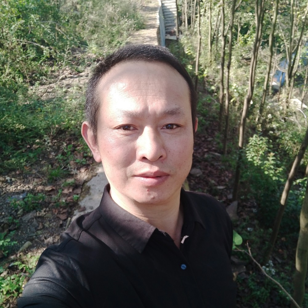 爱天意的照片