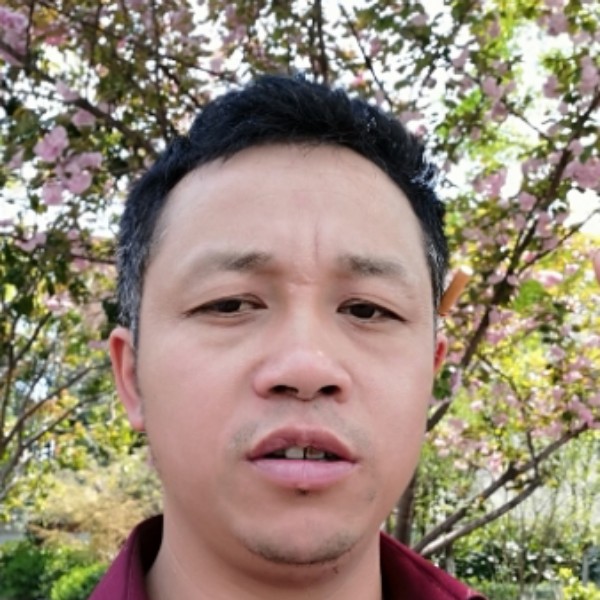 汽车苦恋轻松的照片