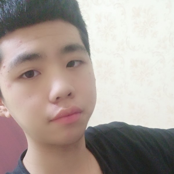 火龙果大气的照片
