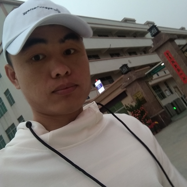 strive追求的照片