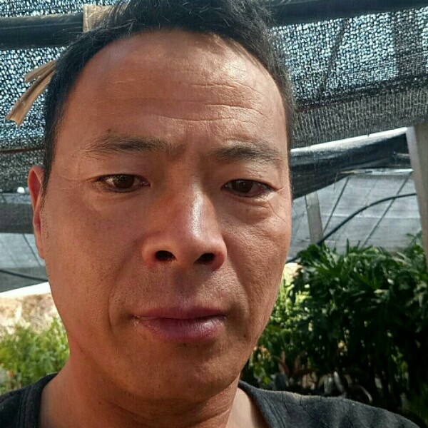 项链放弃怡然的照片