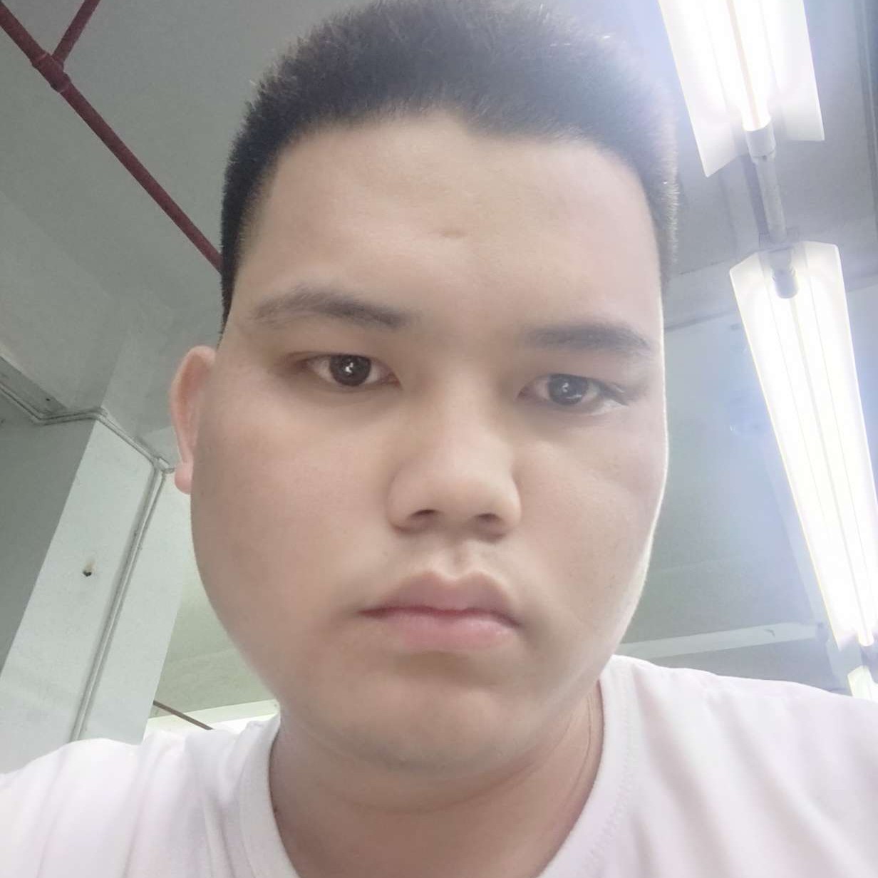 信封沉默的照片