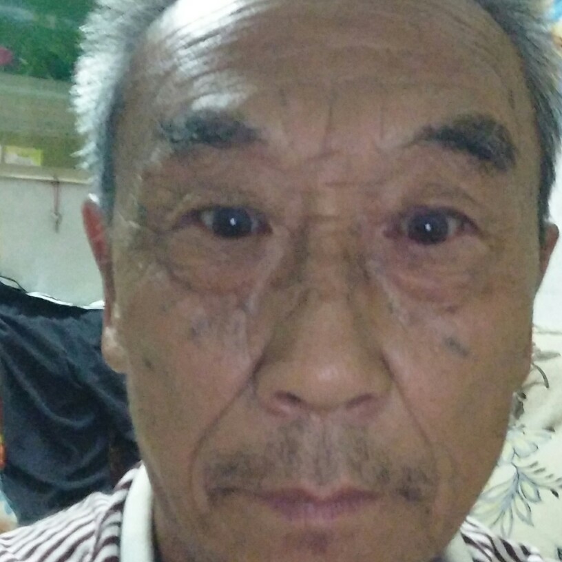 翩飞闻猎豹的照片