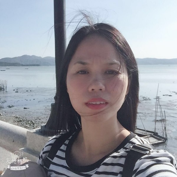 杏花树的照片