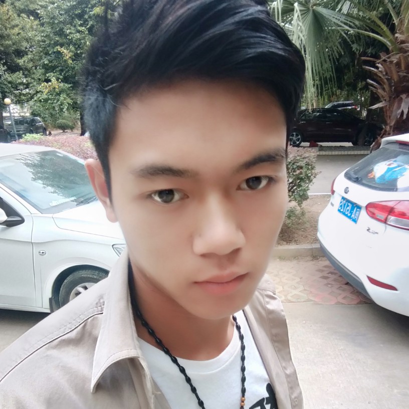 整齐倾心灰狼的照片