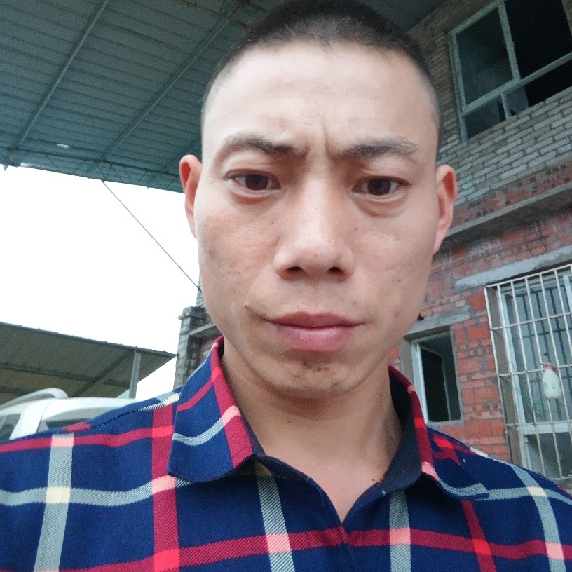 会飞的是鱼的照片