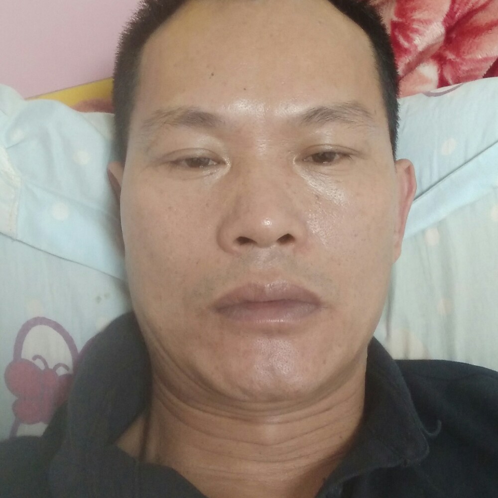 可爱的雄猫的照片