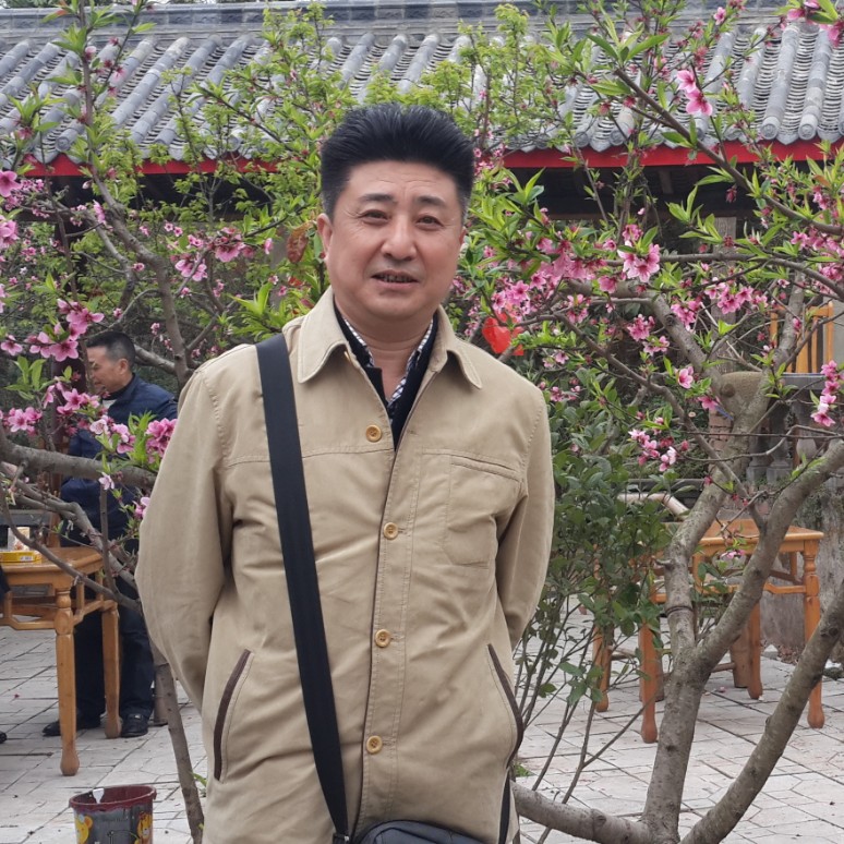 闲猪的照片