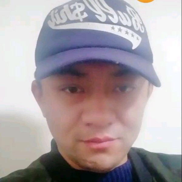 可靠演变枫叶的照片