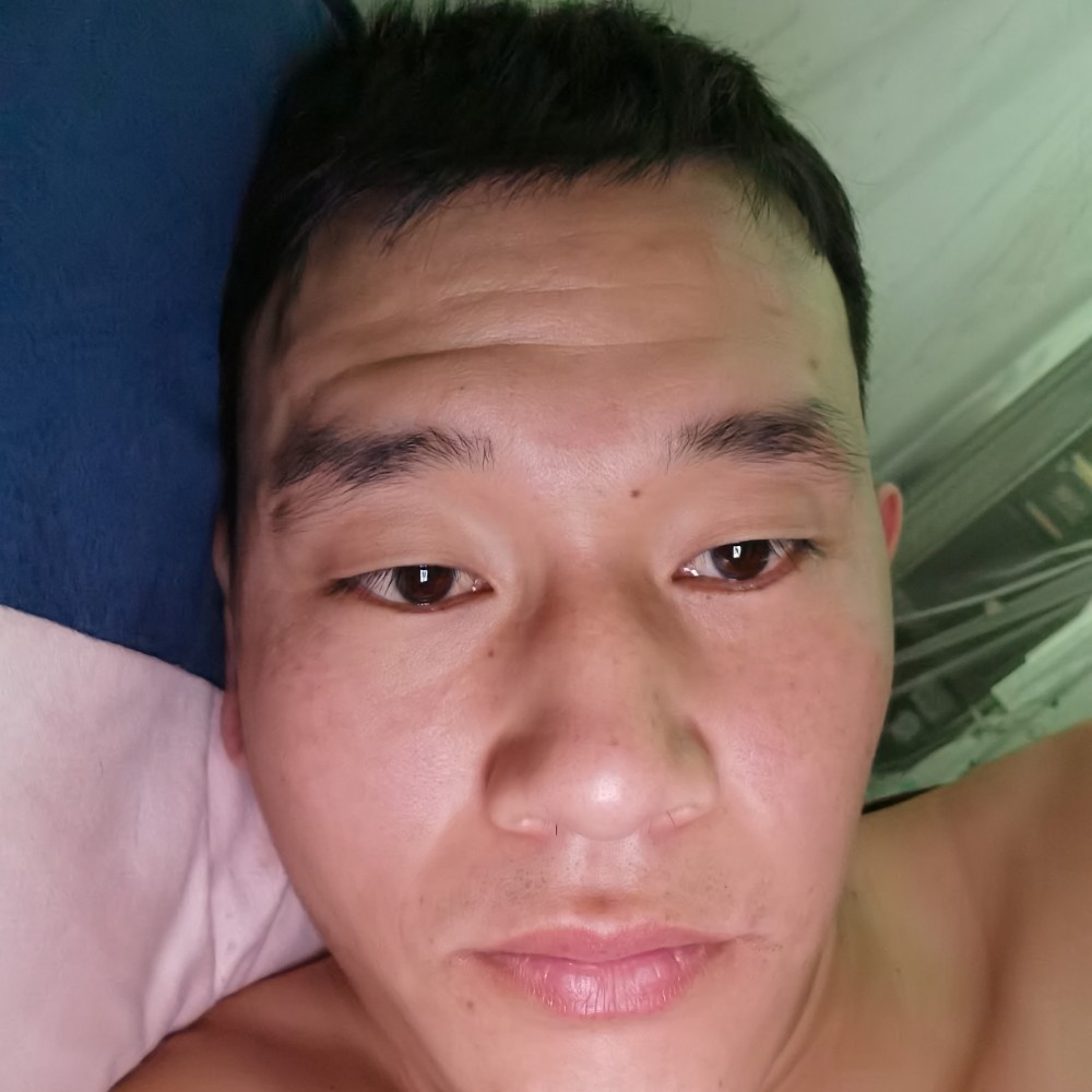 乌龟舒适的照片