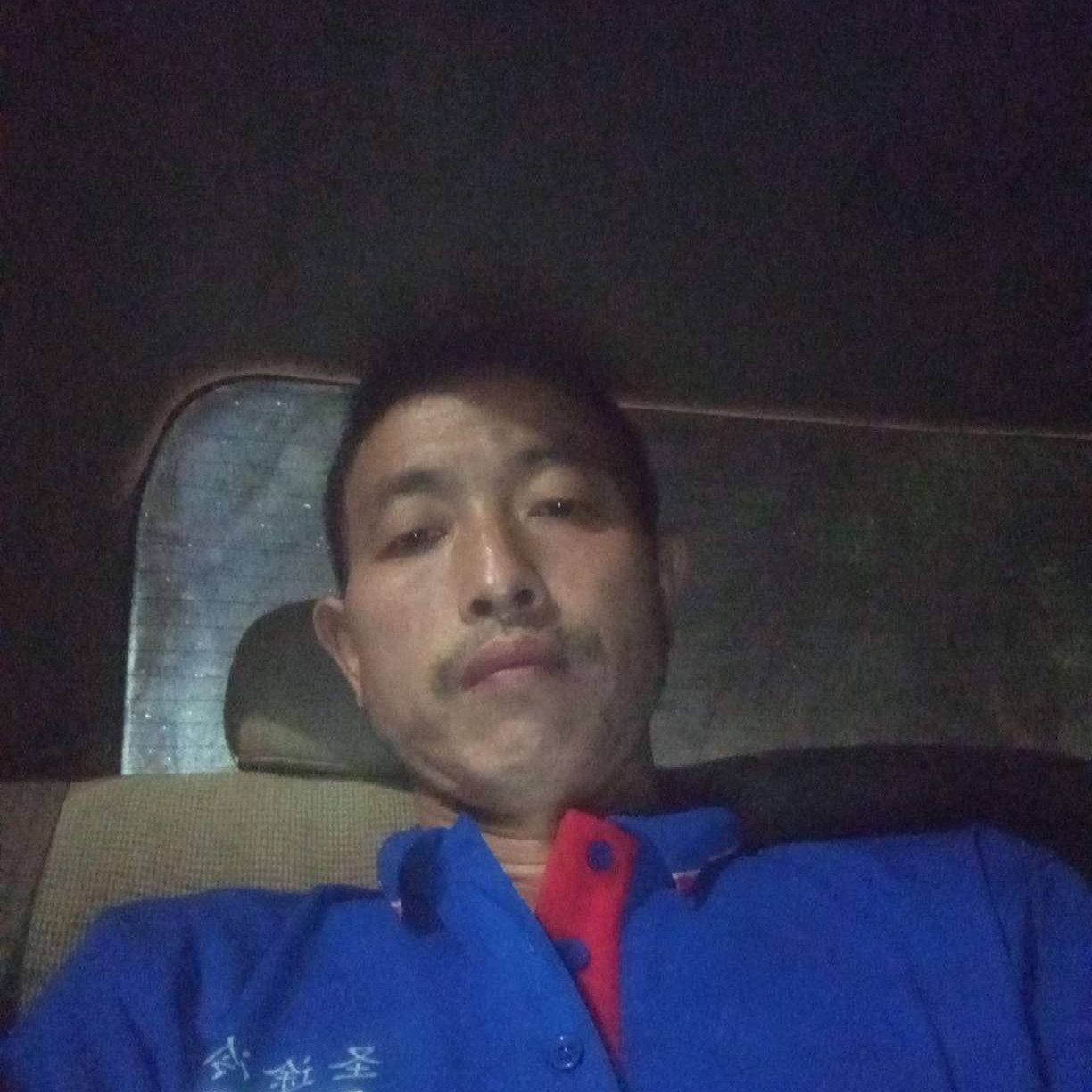 小懒猪苦恋整齐的照片