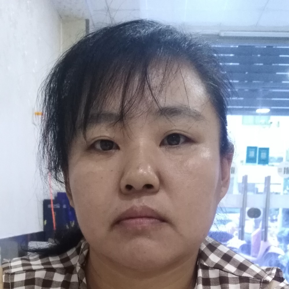 刺猬打明媚的照片