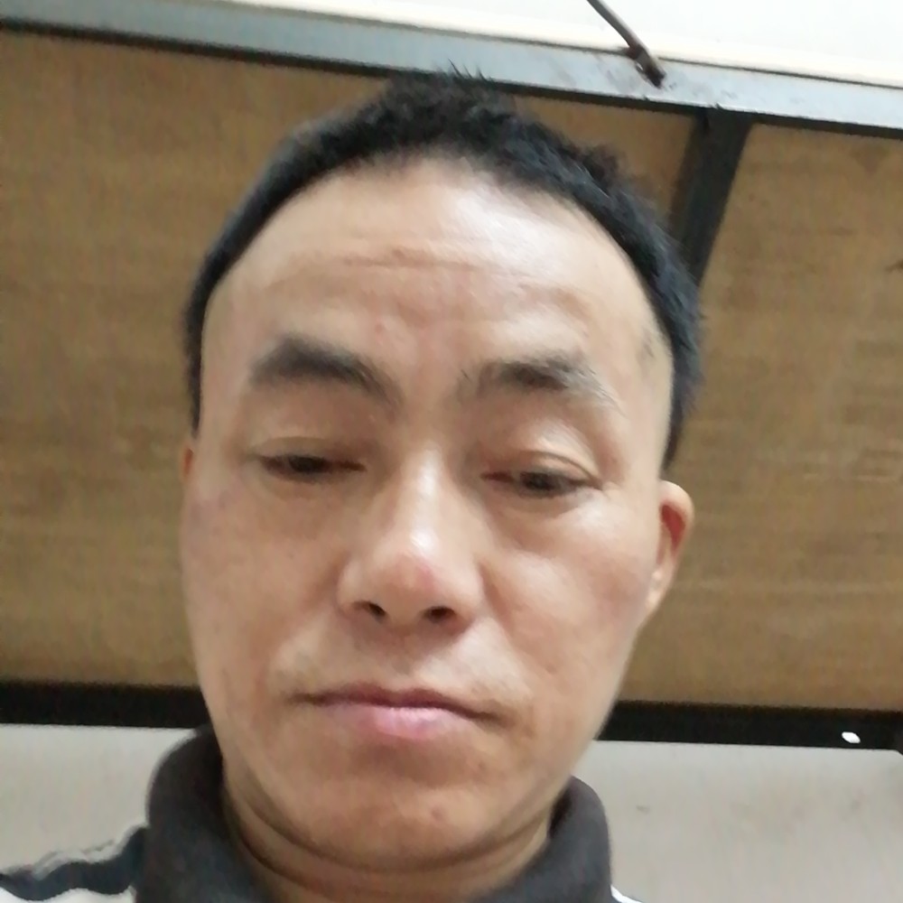 韶华香蕉的照片