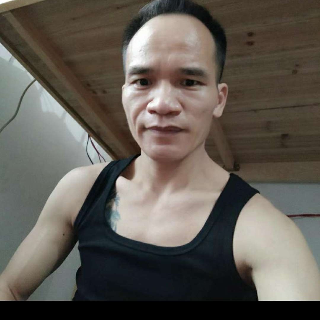蜜蜂爱激昂的照片