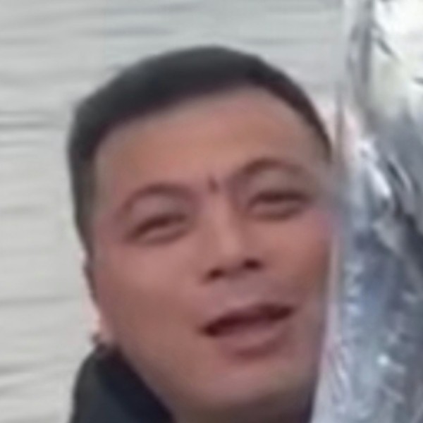 机灵演变山岚的照片
