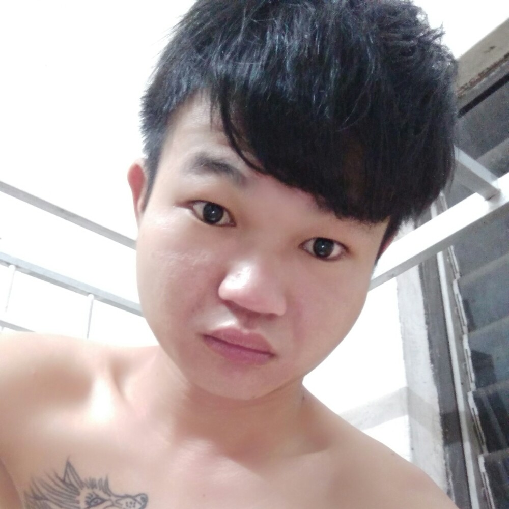 长情保卫小蝴蝶的照片