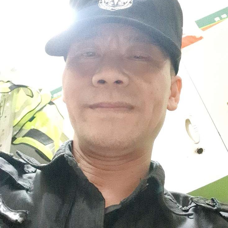 简单浅吻大炮的照片