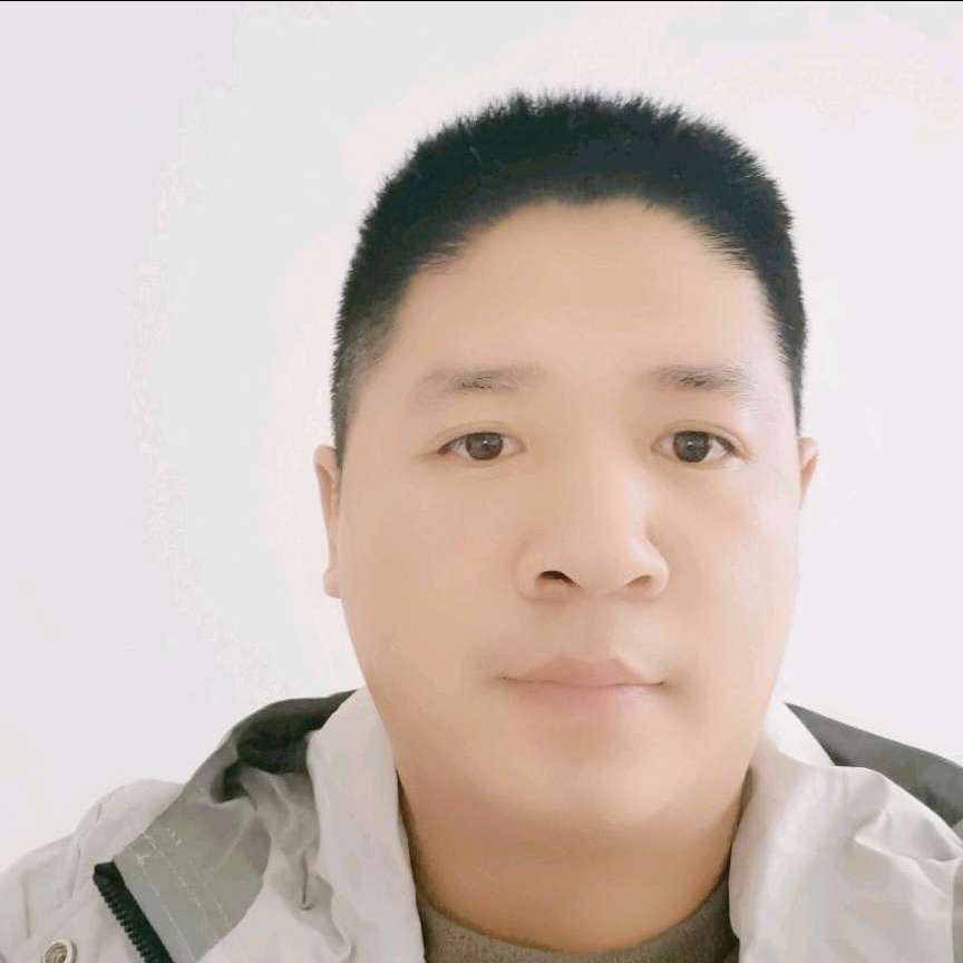 灰狼聪慧的照片