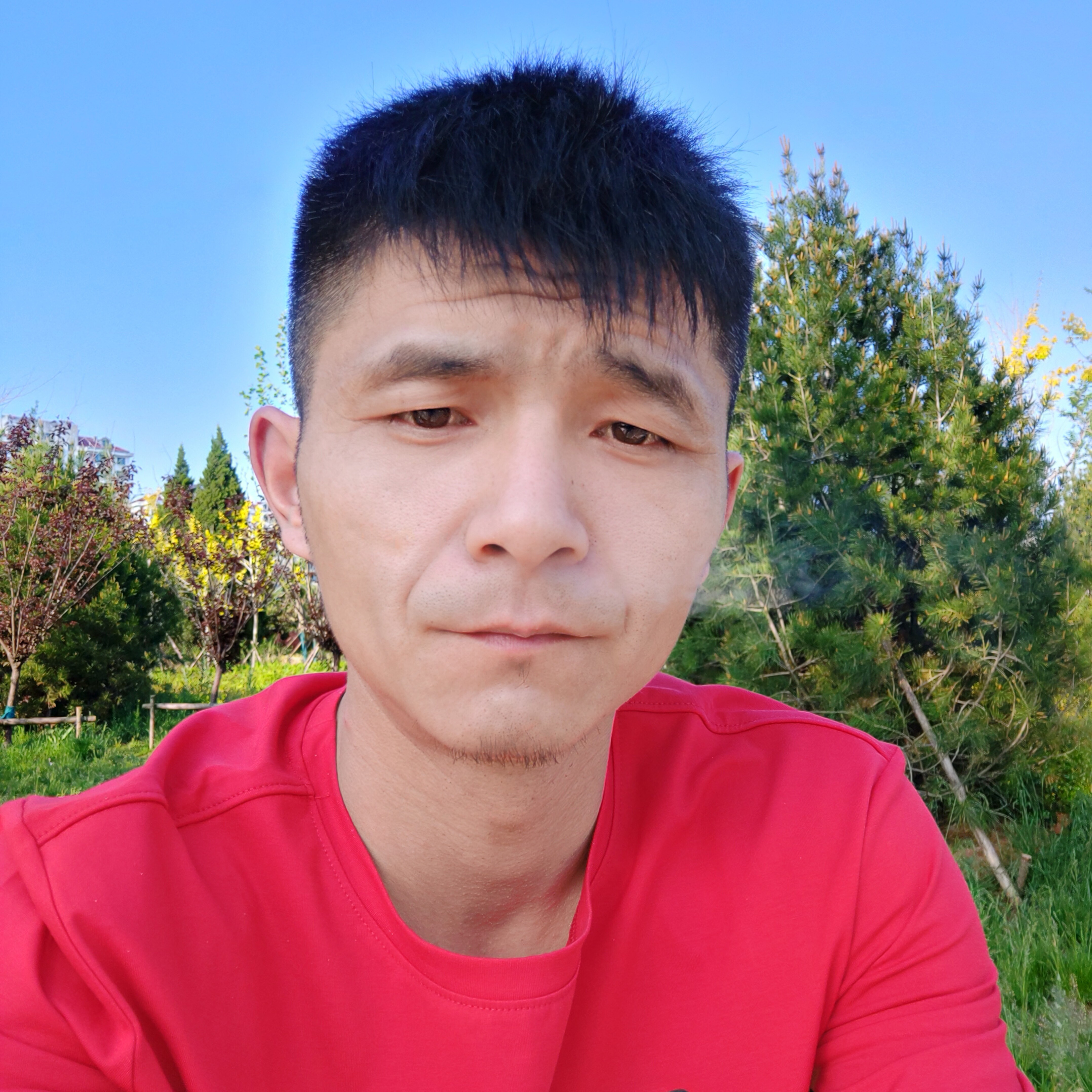 楼房有自觉的照片