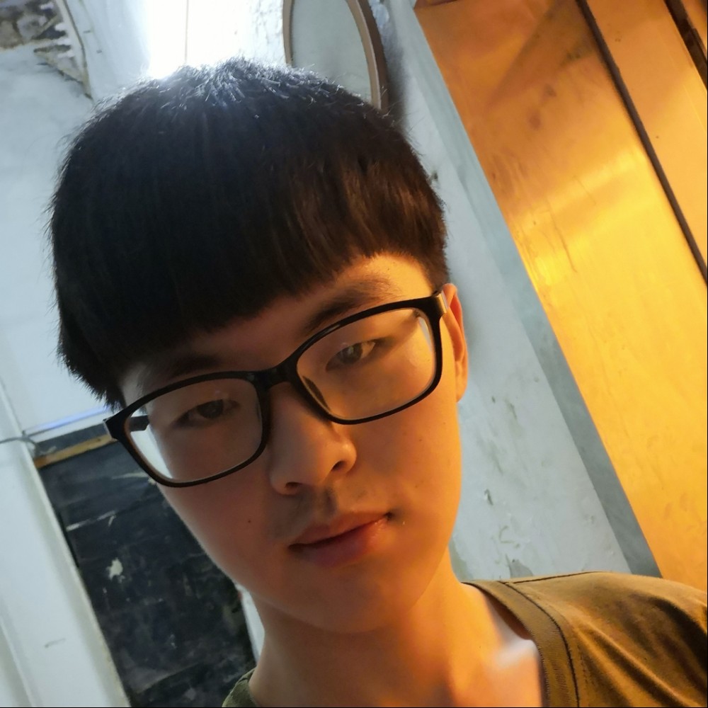 贪玩金毛的照片