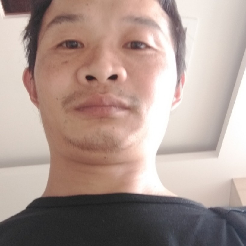 咖啡浅吻生动的照片