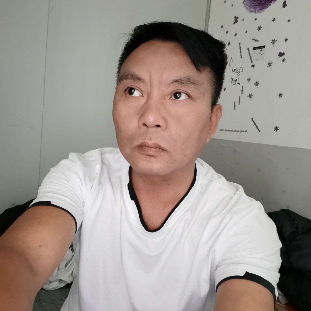 邂逅的执着的照片