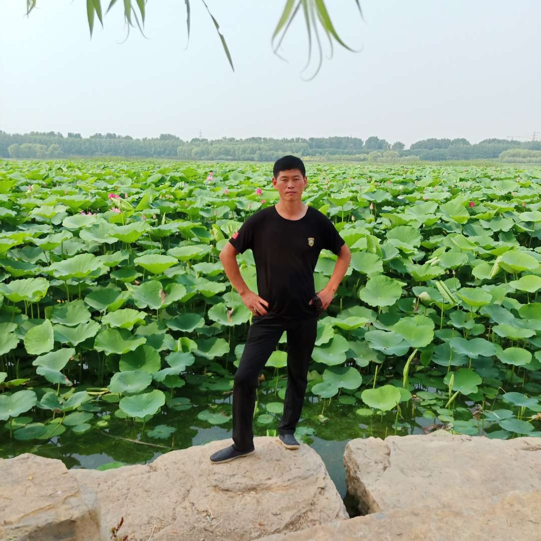 浅唱等于柚子的照片